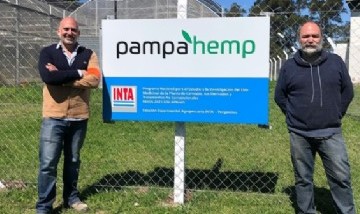 Una pyme de Pergamino comenzó a cultivar legalmente cannabis junto al INTA