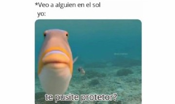 @elsecretodesusmomos
