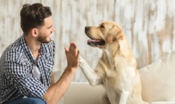 Licencia laboral por adoptar una mascota: una empresa hizo punta en Argentina
