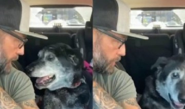 Un hombre adoptó a perro anciano para que no muera solo en el refugio y la historia se hizo viral