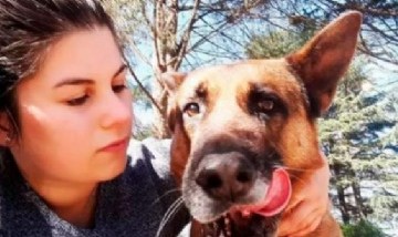 Cash: la historia emotiva del perro que estuvo perdido casi un año y volvió solo a su casa