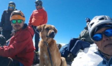Un alpinista rescató a un perro que estuvo un mes perdido en la montaña más alta de México