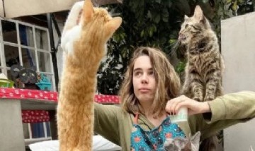 Se viene otro bar de gatos: tres jóvenes orientales abrirán "Nekofi" en el barrio Chino de Belgrano