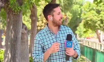 Video: el insólito "robo" que sufrió un periodista chileno mientras transmitía en vivo
