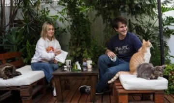 Llegó el primer café para gatos: cuesta $1200 la hora y se paga por anticipado