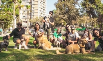 La familia canina de Bigmama, desde Santiago de Chile.