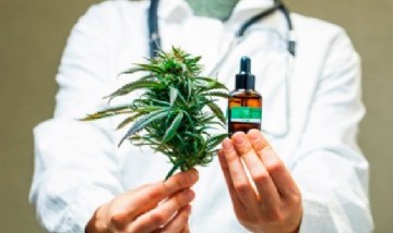 Cannabis: el Gobierno legalizó el autocultivo para uso medicinal y la venta de aceites en farmacias