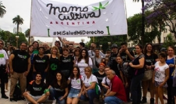 ONG pidió a Alberto Fernández que regule el autocultivo de cannabis
