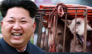 Kim Jong-Un prohibió a los perros como mascotas y generó polémica mundial