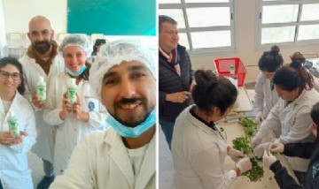 Científicos del CONICET produjeron un gel repelente natural para combatir el dengue