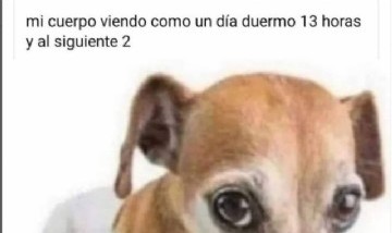memes_random._