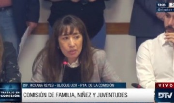 En Diputados, Marisa Graham brindó detalles del informe anual de la gestión de la Defensoría