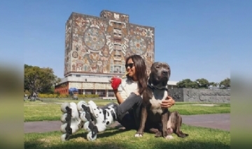Caro y Kobu disfrutando de México DF.