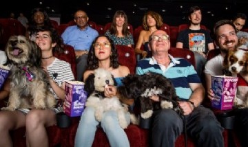 Pet Friendly: Argentina realizará su primera función de cine con perros