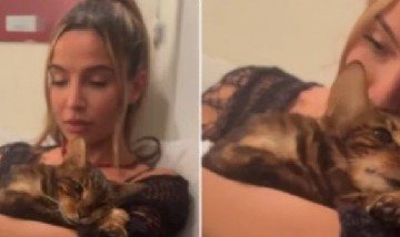 Brenda Asnicar despidió a su gato "Bandido" con un emotivo posteo: "Somos uno"