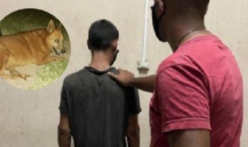 Corrientes: detienen a un hombre por robar, violar y matar a una perrita de 15 años