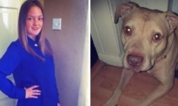 Horror: una mujer murió tras ser atacada por su perro mientras dormía