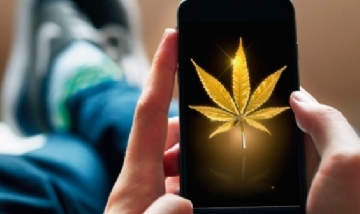 El cannabis desplazó al alcohol en las búsquedas de internet