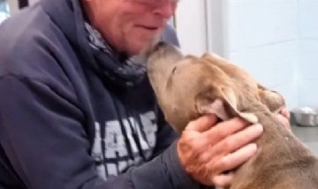 Viral: el emotivo reencuentro de un perro con su dueño tras estar 200 días separados