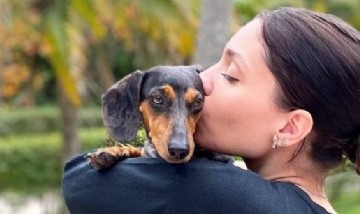 España: Los animales de compañía serán jurídicamente miembros de la familia