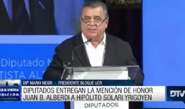 Diputados reconoció a Hipólito Solari Yrigoyen con la mención de honor "Juan B. Alberdi"