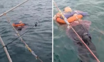 Mujer fue encontrada viva y flotando en el mar tras dos años desaparecida