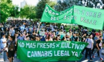 Puerto Madryn: Un hombre de 73 años pide a la Justicia que le permitan cultivar cannabis