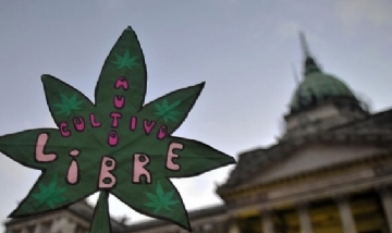 Argentina avanza en la regulación de consumo y el autocultivo de cannabis