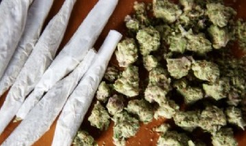 Un estudio con miles de adolescentes detectó menor avance cognitivo en quienes consumieron cannabis