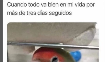 @memes_random._