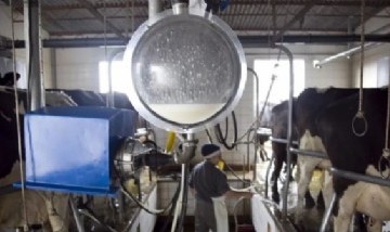 Contra la inflación: Otro municipio bonaerense apuesta por la leche a 60 pesos