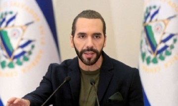 Bukele lanza un plan nacional para rescatar y cuidar animales sin hogar en El Salvador