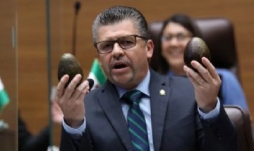 Costa Rica: Un Diputado propuso colocar rings de boxeo en escuelas para reducir violencia