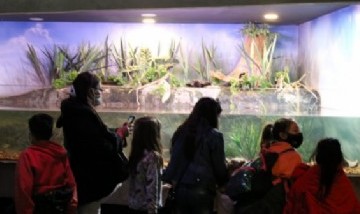 El Acuario del Río Paraná recibió tres mil visitantes por fin de semana desde su reapertura