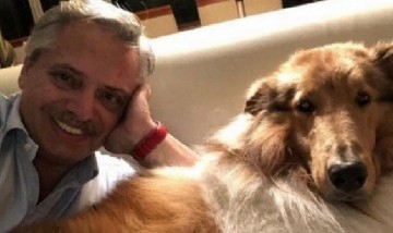 A través de su perro Dylan, Alberto Fernández negó haberle dado un cargo a su adiestrador