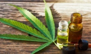 Cannabis legal: qué inversiones se esperan para el negocio luego de la ley que anunció el Gobierno