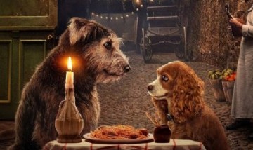 La Dama y el Vagabundo: llega el clásico de Disney con una nueva versión "de carne y hueso"