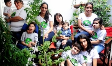 #NosotrasCultivamos: Organizaron un twittazo para reclamar por la ley de autocultivo