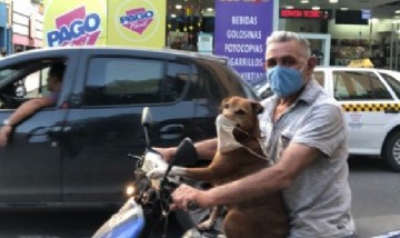 El perrito con barbijo y en moto por el centro de Tucumán que se volvió viral