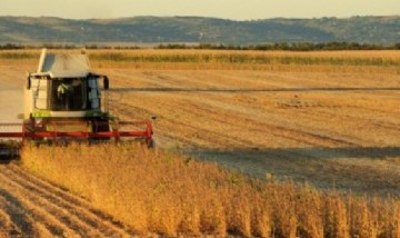 Productores rurales convocan a un "tractorazo" contra el Gobierno de Javier Milei