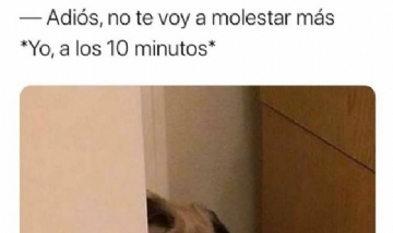 No molestar