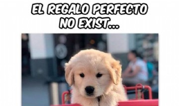 ¿Quién me regala uno?