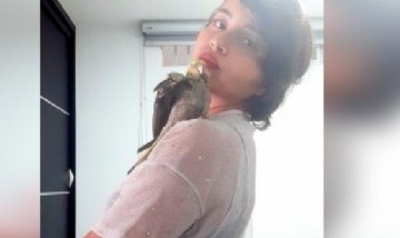 Lore y su cacatúa desde Bucaramanga, Colombia.