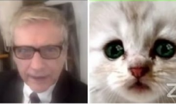 Abogado se quedó atrapado en un filtro de Zoom: "¡Les juro que no soy un gato!"