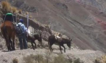 Viral: cumplen 15 años llevando el cine en burro a comunidades indígenas