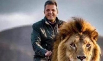 Los mejores memes de las Elecciones 2023: el humor en redes otra vez protagonista