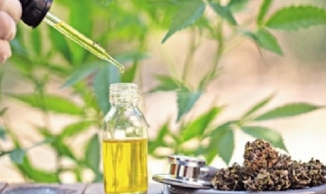Los distritos siguen apostando por el uso de cannabis medicinal