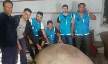 Hallaron restos de un animal que se extinguió hace 10 mil años en un colegio abandonado