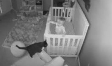 Una cámara de seguridad graba la insólita ‘conversación" entre una gata y un bebé durante la noche