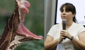 Una ministra de Chaco fue mordida por una serpiente tras un acto de Alberto Fernández